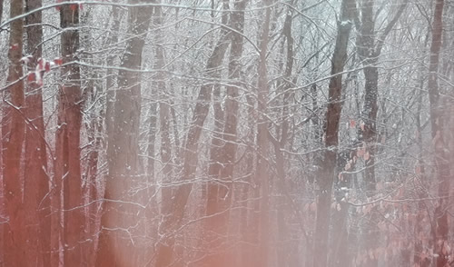 Album Review: Seaworthy + Taylor Deupree - Wood, Winter, Hollow
